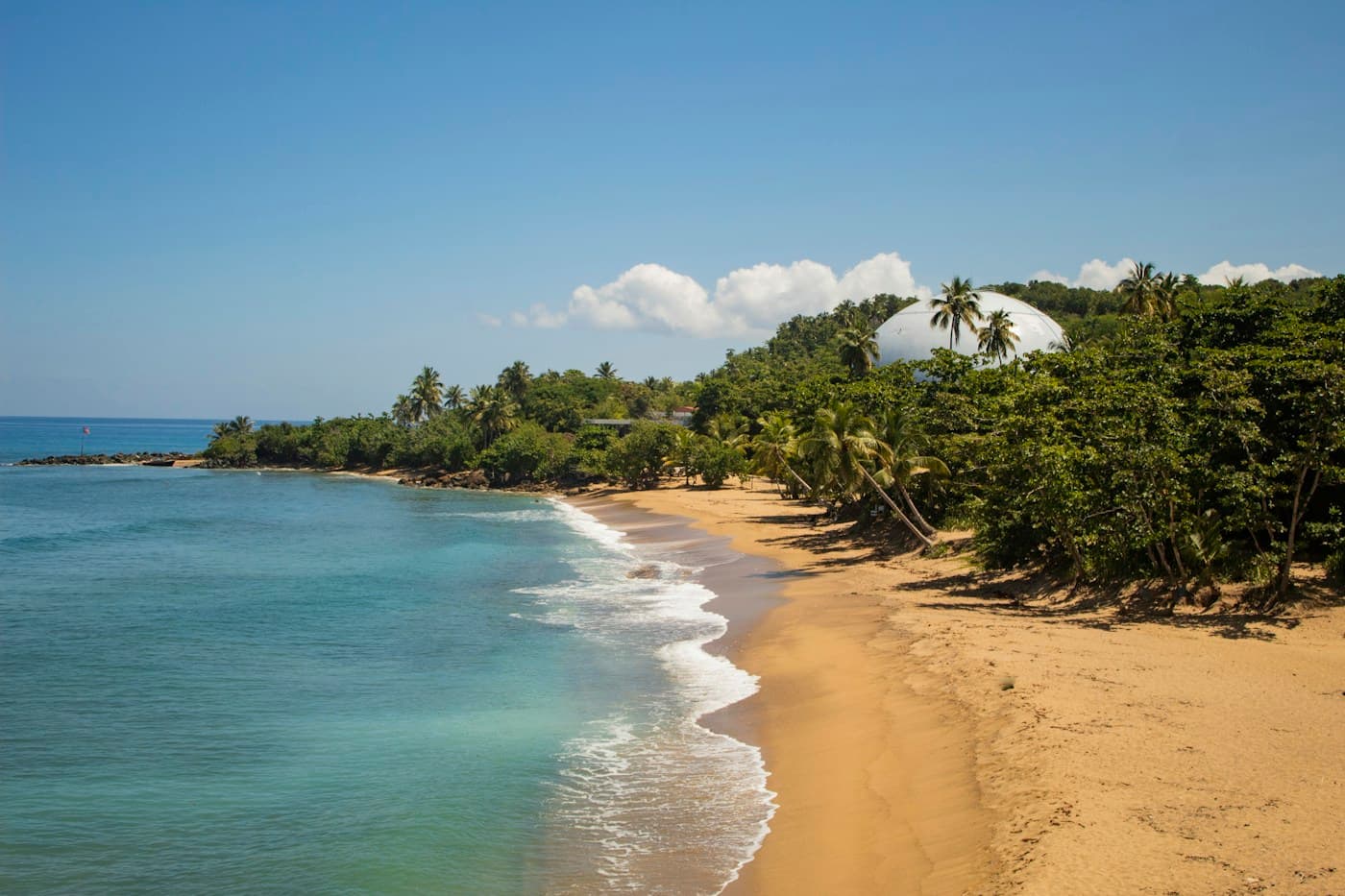 A sandy coast with palms and blue water in Rincón, Puerto Rico