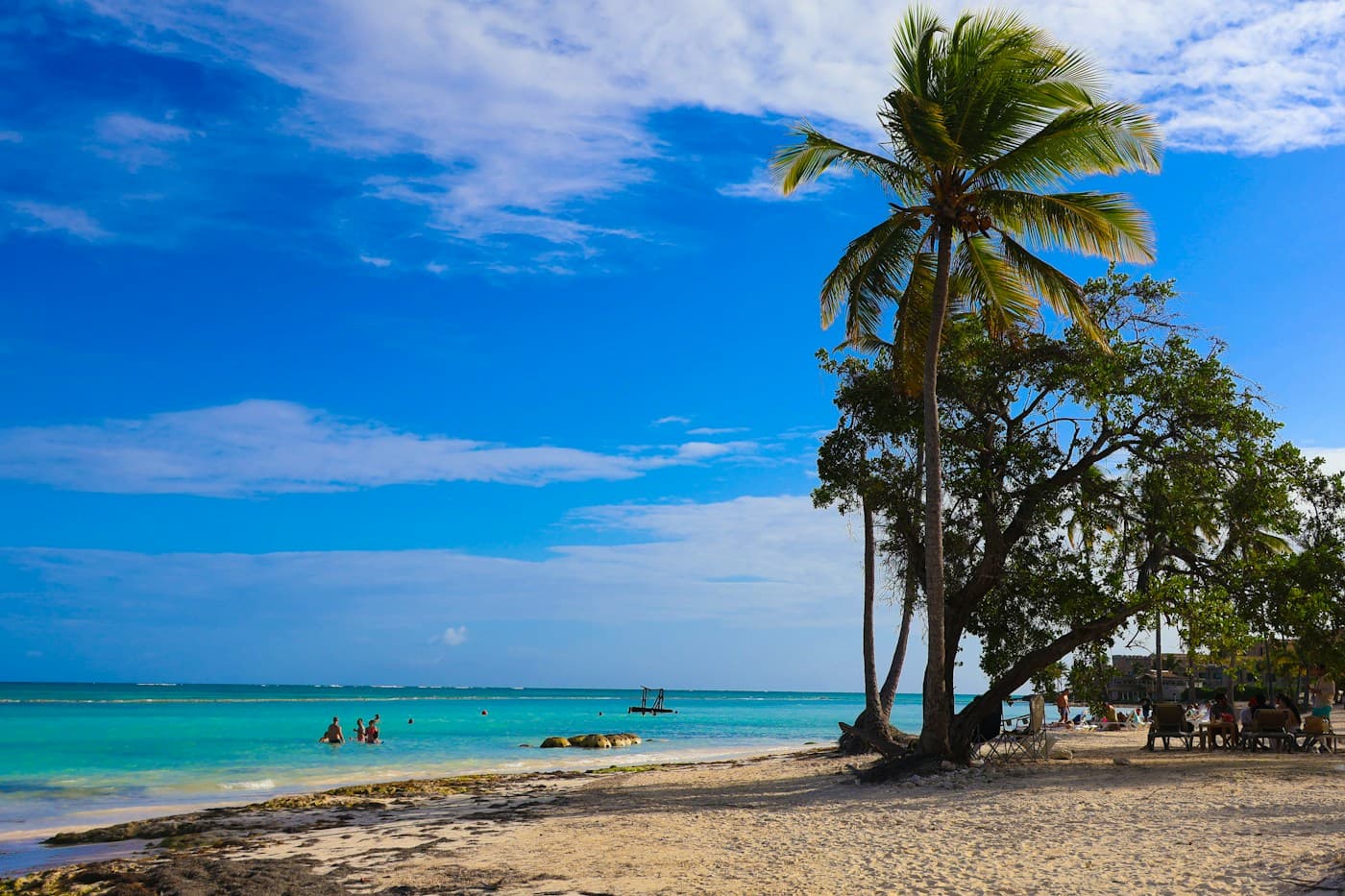 Palm trees and turquoise water at Juanillo Beach in Punta Cana, Dominican Republic